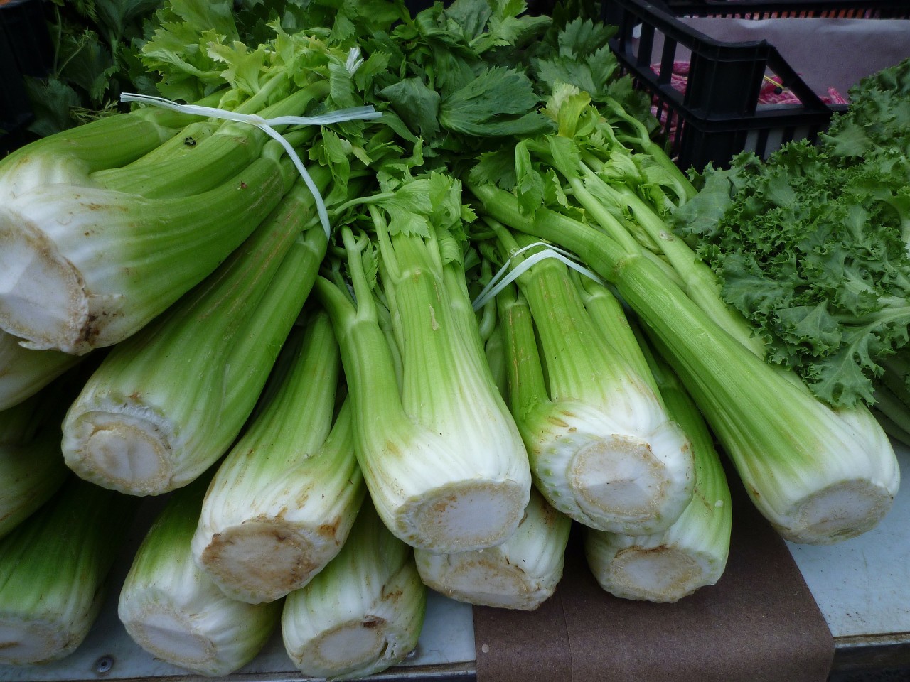 Sklizený řapíkatý celer