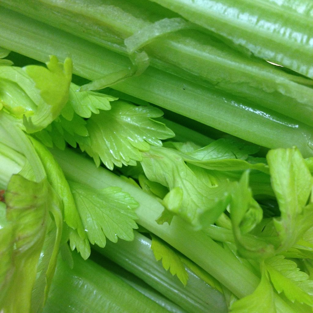 stonky řapíkatého celeru