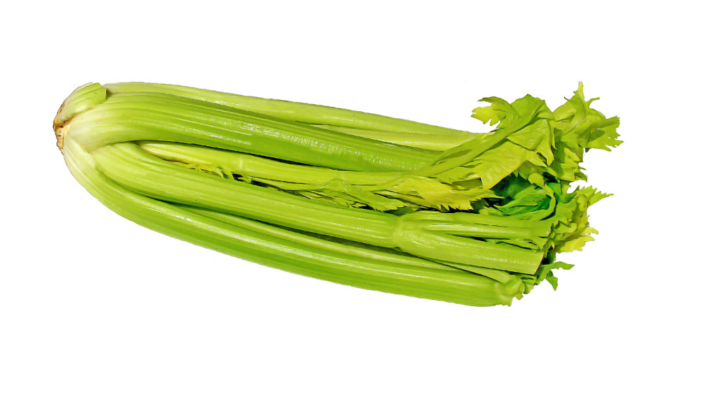 řapíkatý celer 