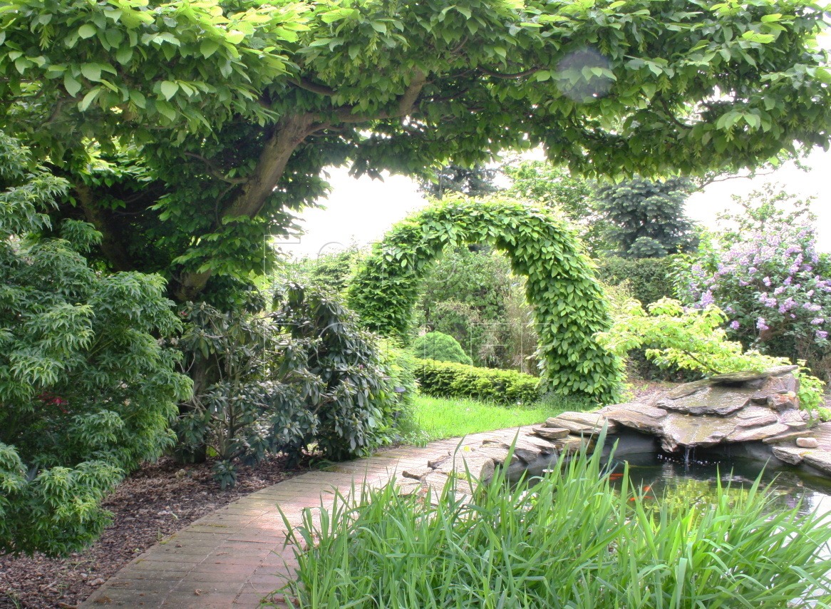 Habrová brána v japonské zahradě