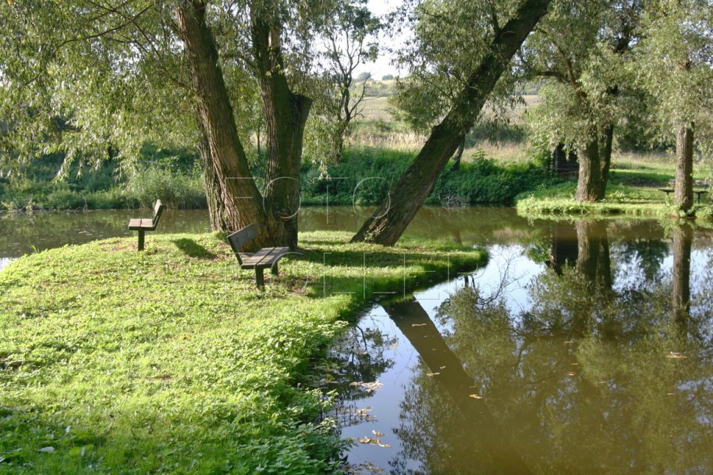 Klidné místo pro chov koi-kaprů jsme našli ve vodním parku Čabárna u Kladna