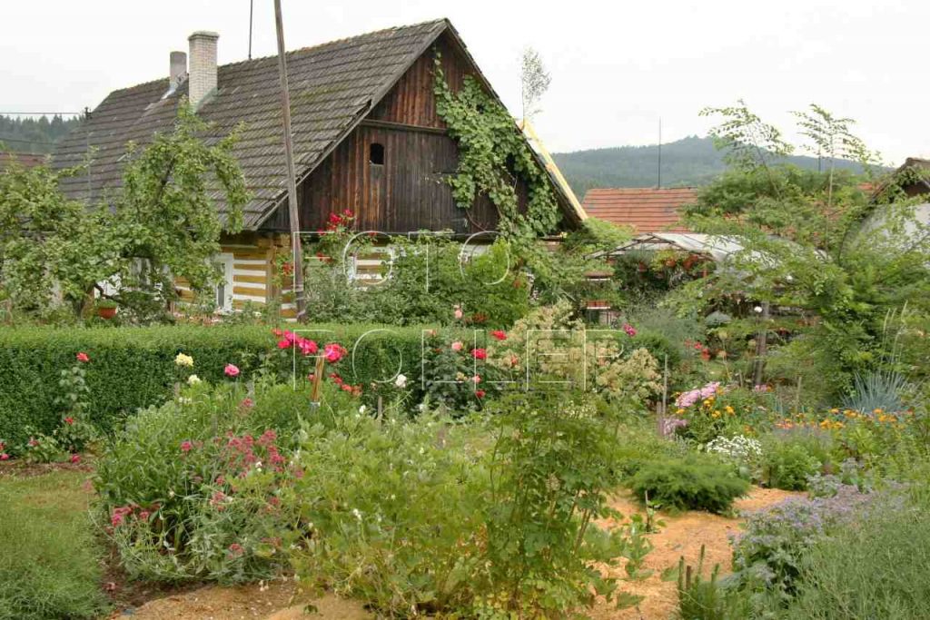 Fuchsiová zahrada Suchardových hostí i spoustu dalších druhů rostlin