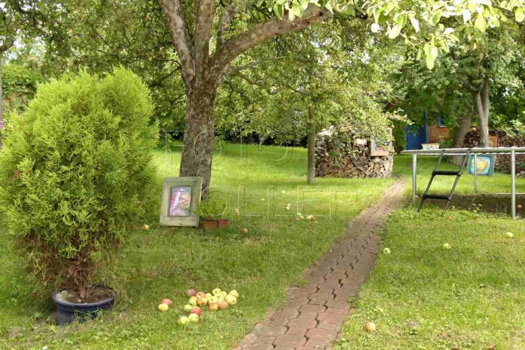 Trampolína uprostřed jednoduše udržovatelné zahrady - symbol pohodového života