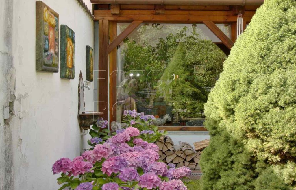 Stinné zátiší s hortenziemi sousedí s prosklenou zimní zahradou