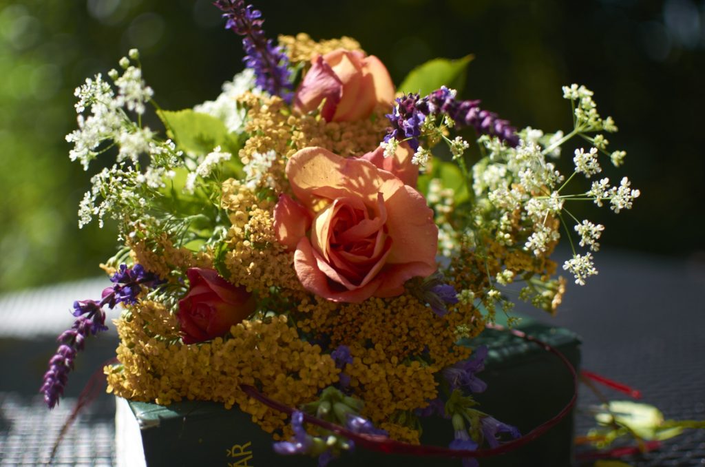 Anglická růže Lady of Shalott doplněná fialovou šalvějí hajní, bílým kerblíkem lesním a barevnými řebříčky