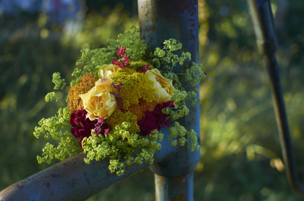 Anglická růže Graham Thomas v doprovodu barevných řebříčků, hvozdíku bradatého, dlužichy a kontyhele měkkého