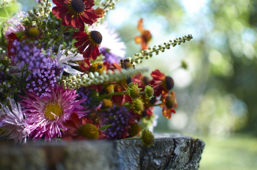Květinová vazba ze zápleváků, ploštičníků, sporýšů a letních aster