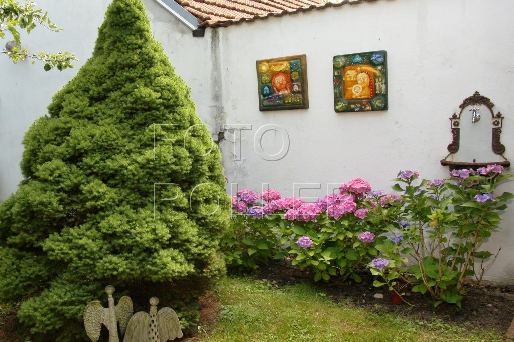 Zahradě paní Štolbové dodávají barvy nejen květy,a le i její obrazy