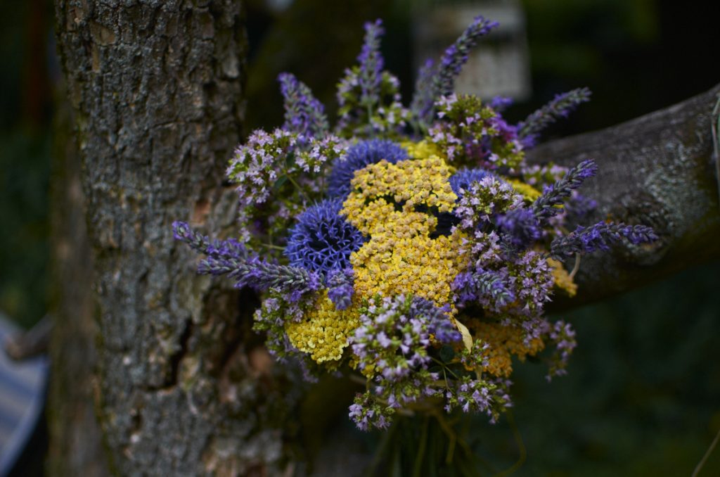 Základem této květinové vazby je bělotrn modrý doplněný řebříčkem terracotta, dobromyslí a levandulí. 