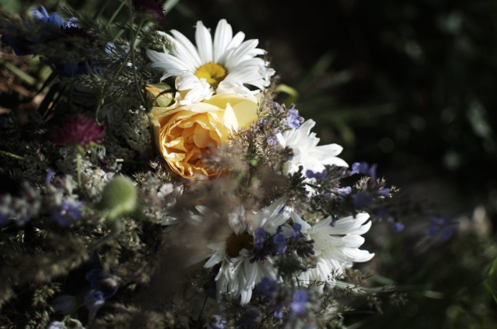 Vazba z anglické růže Graham Thomas, kopretin, šanty, fialového hlaváče a trav. 