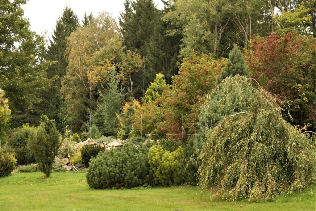 obří zahrada obsahuje exotické dřeviny