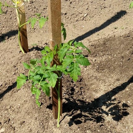 Přivážeme k opoře