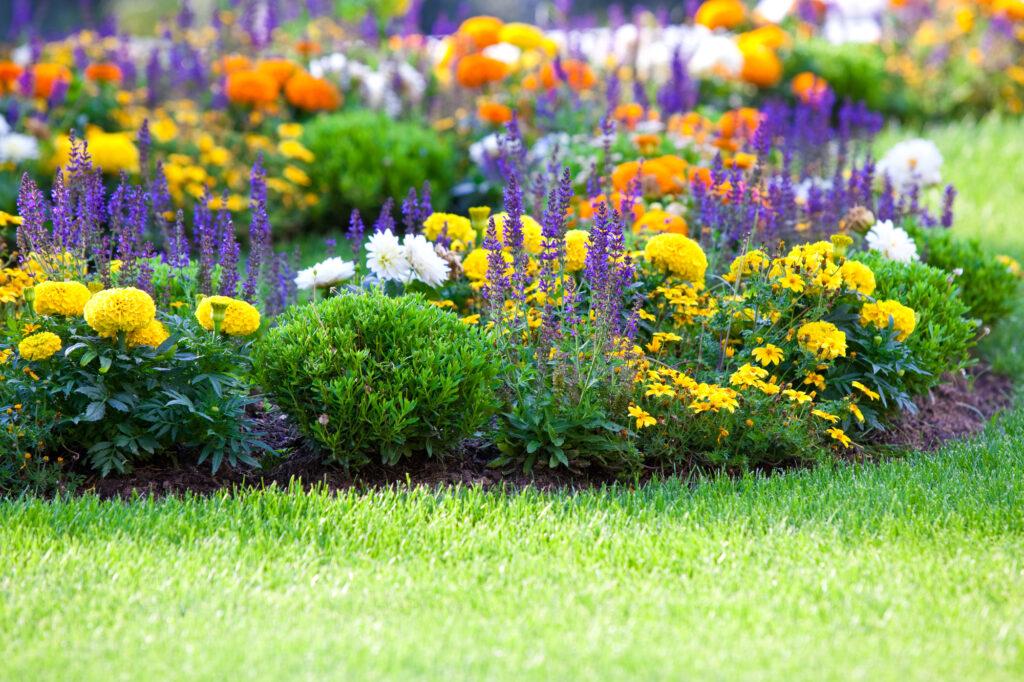 Okrasná zahrada - Foto: Depositphotos