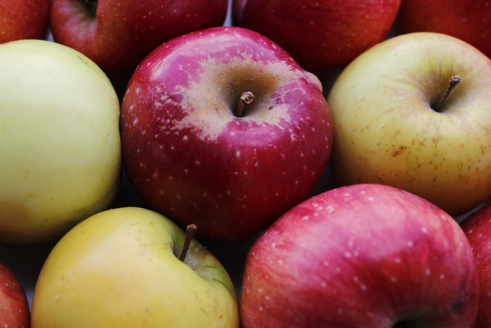 Jablka / Depositphotos