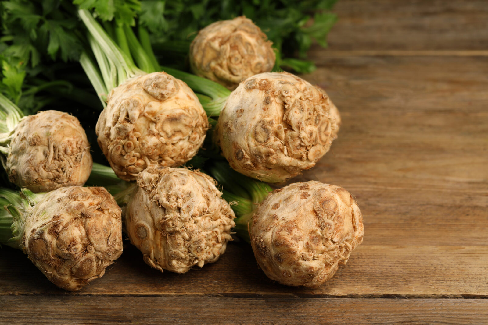 Sklizeň celer / Depositphotos