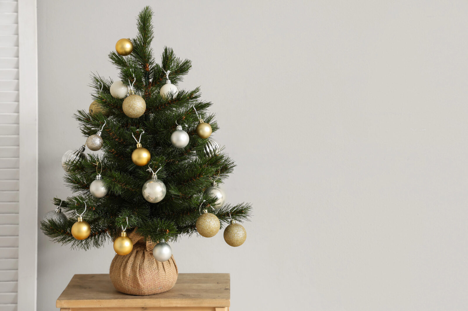 Vánoční stromek v kvetináči / Depositphotos