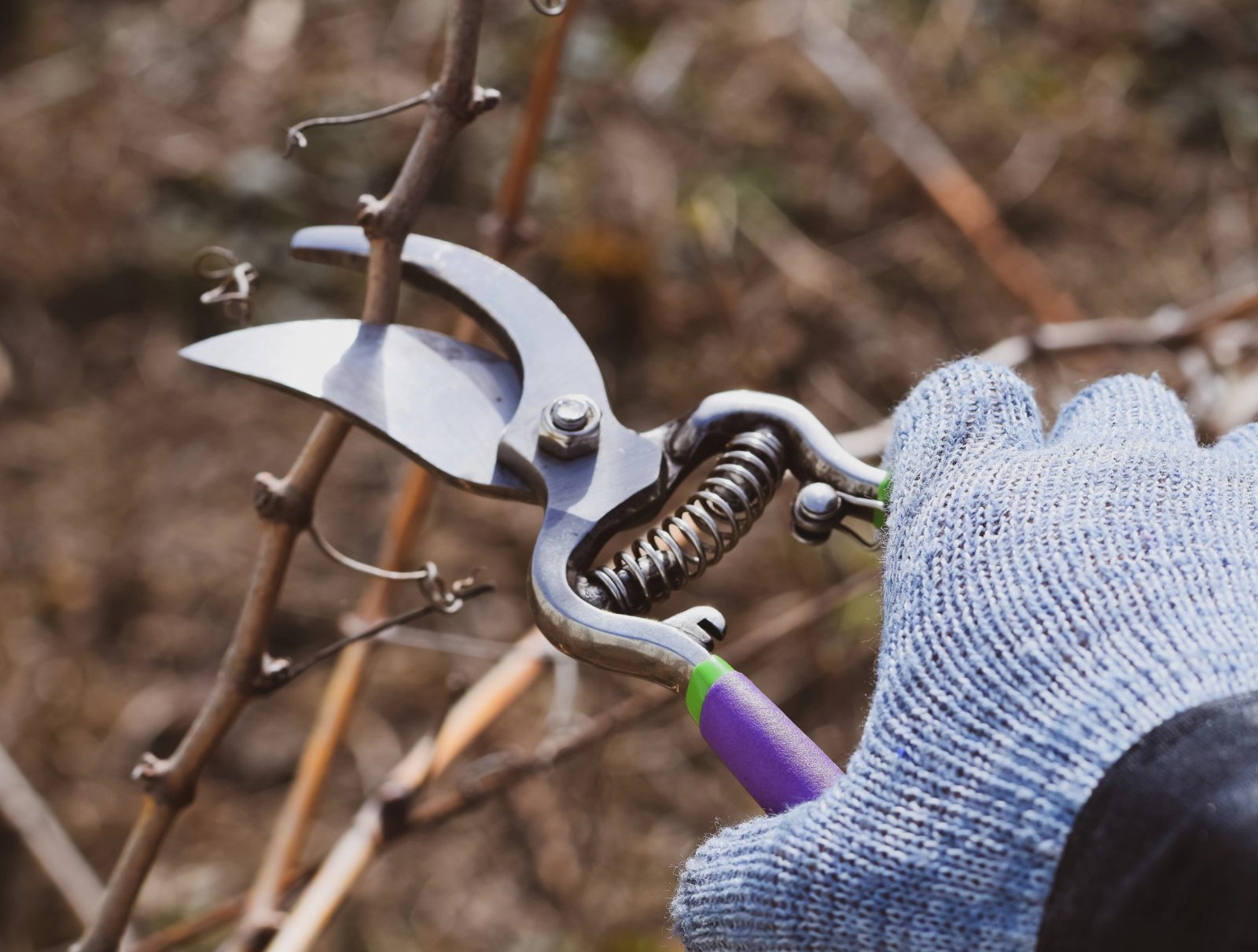 Roub / Depositphotos