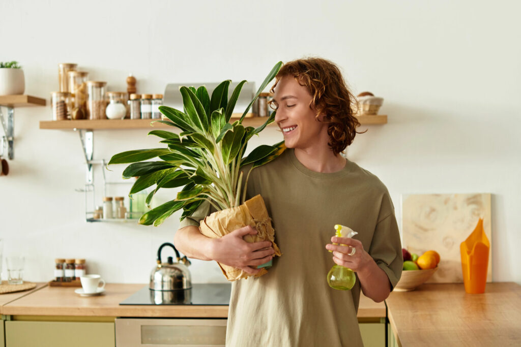 Pokojové rostliny / Foto: Depositphotos