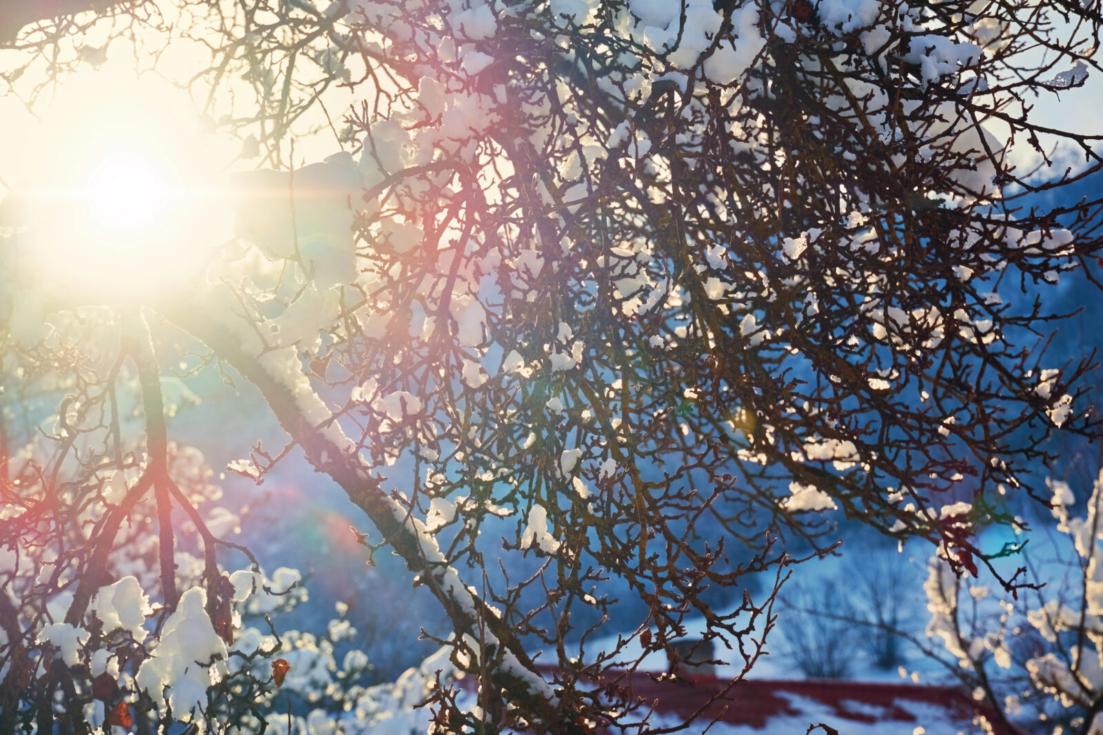 Zimní slunce / Foto: Depositphotos