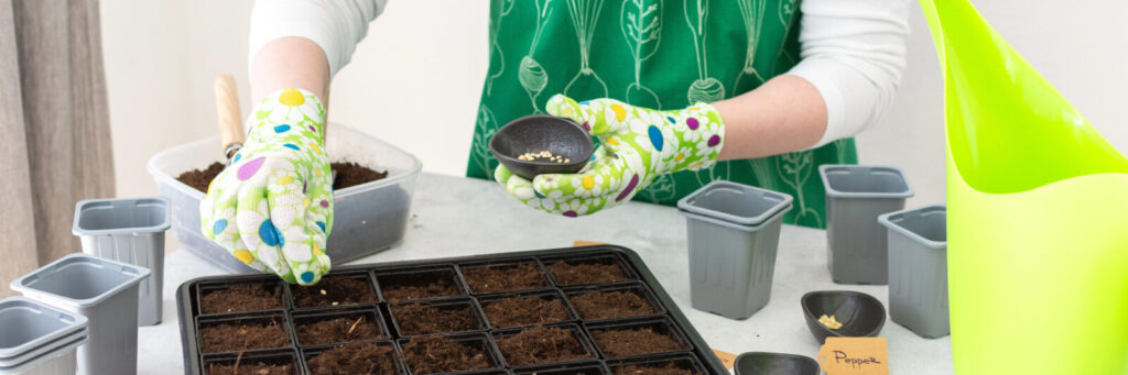 Setí rajčat / Foto: Depositphotos