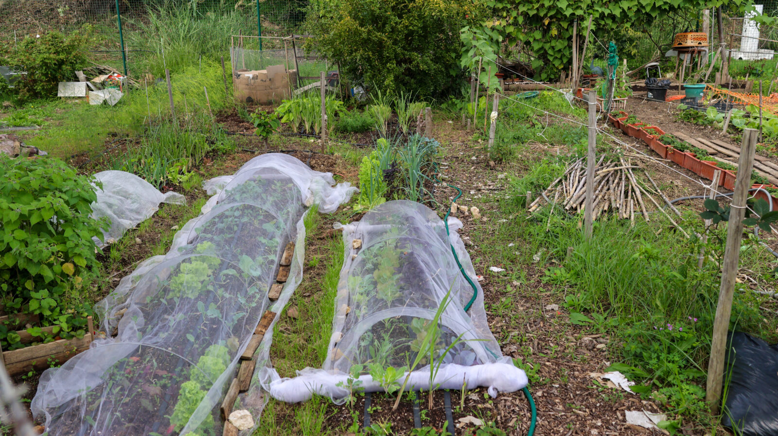 No-dig pěstování / Foto: Depositphotos