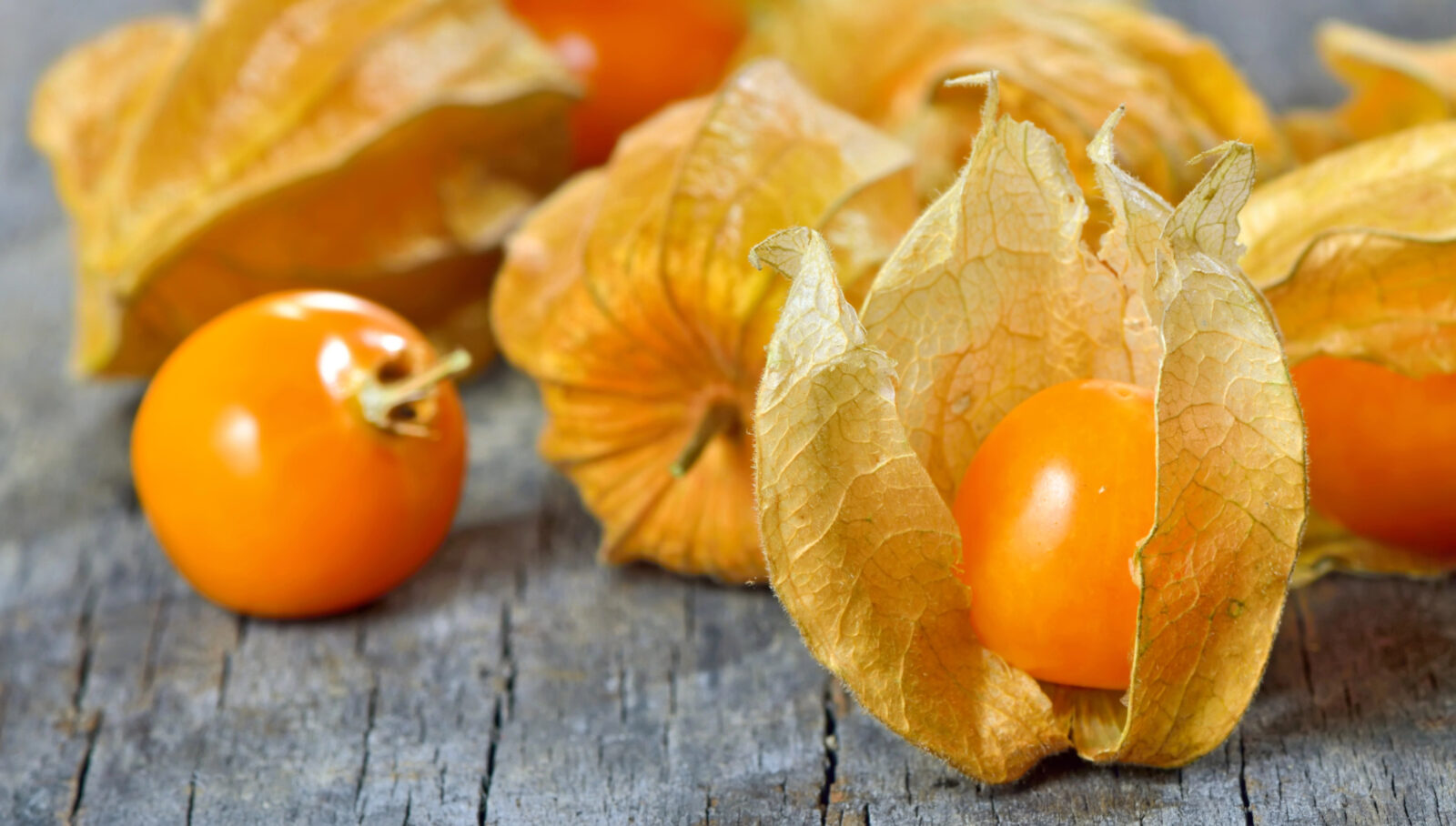 Physalis / Foto: Depositphotos