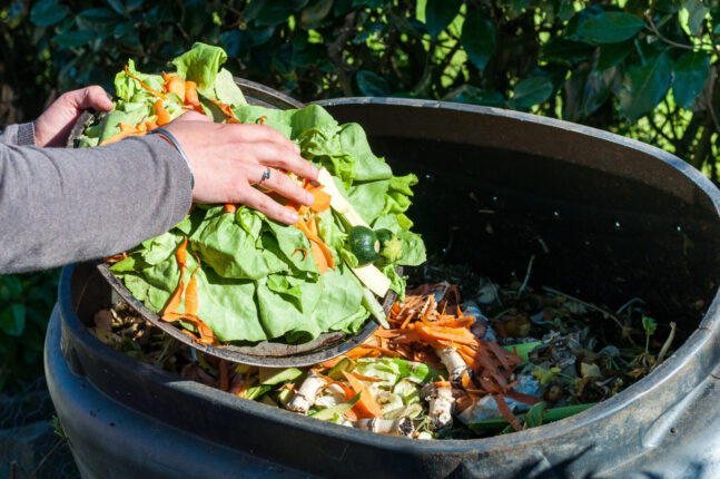 Kompost / Foto: Depositphotos
