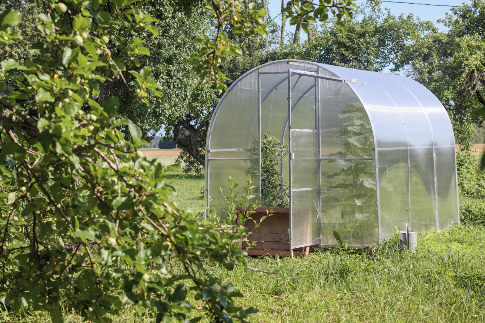 Zahradní skleník / Foto: Depositphotos