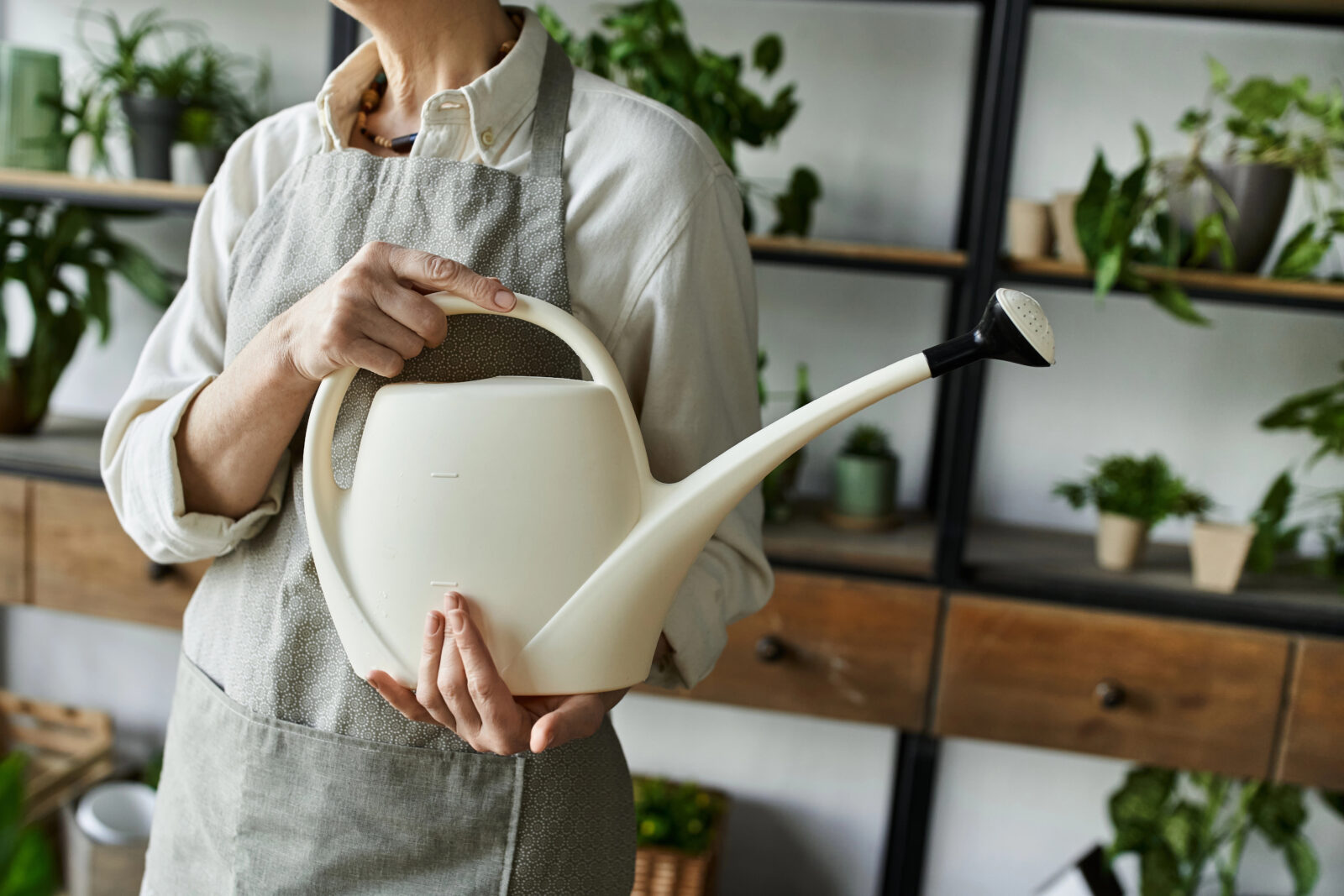 Zalévání pokojových rostlin / Foto: Depositphotoso