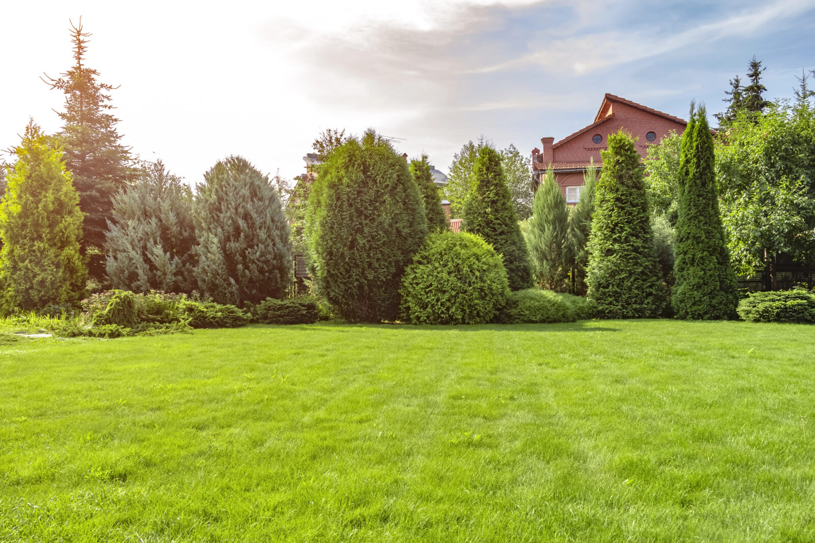 Dokonalý trávnik / Foto: Depositphotos