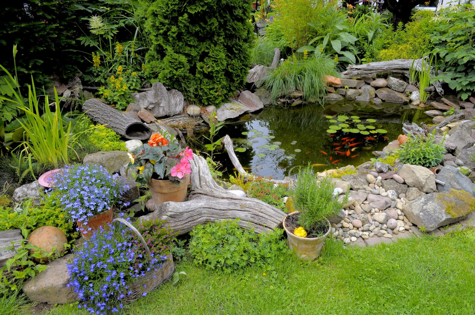 Zahrada s jezírkem / Foto: Depositphotos