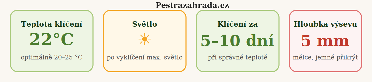 Ideální podmínky pro klíčení rajčat / Foto: Pestrazahrada.cz