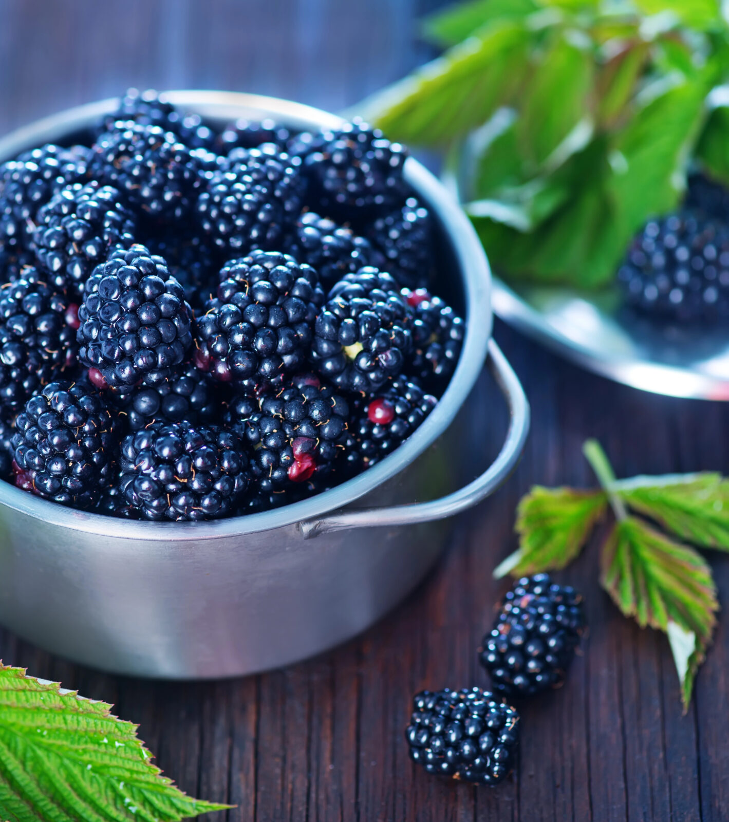 Ostružiny / Foto: Depositphotos