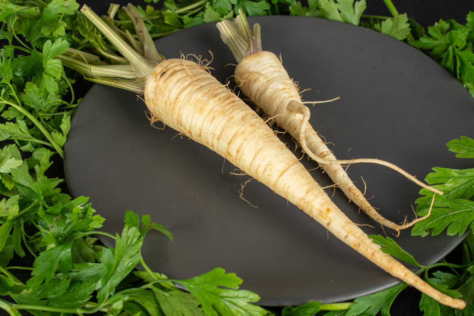 Petržel / Foto: Depositphotos