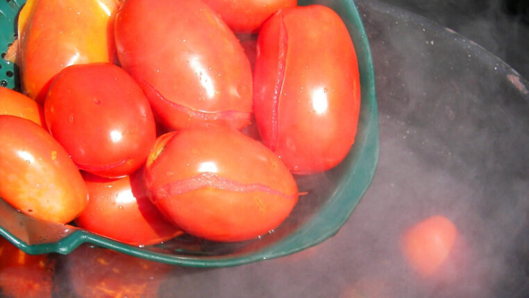 Spaření rajčat / Foto: Depositphotos