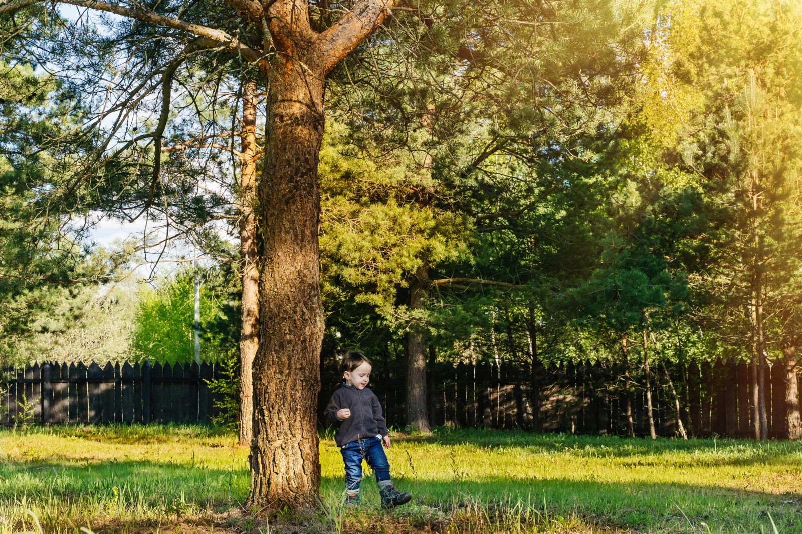 Strom na zahradě / Foto: Depositphotos