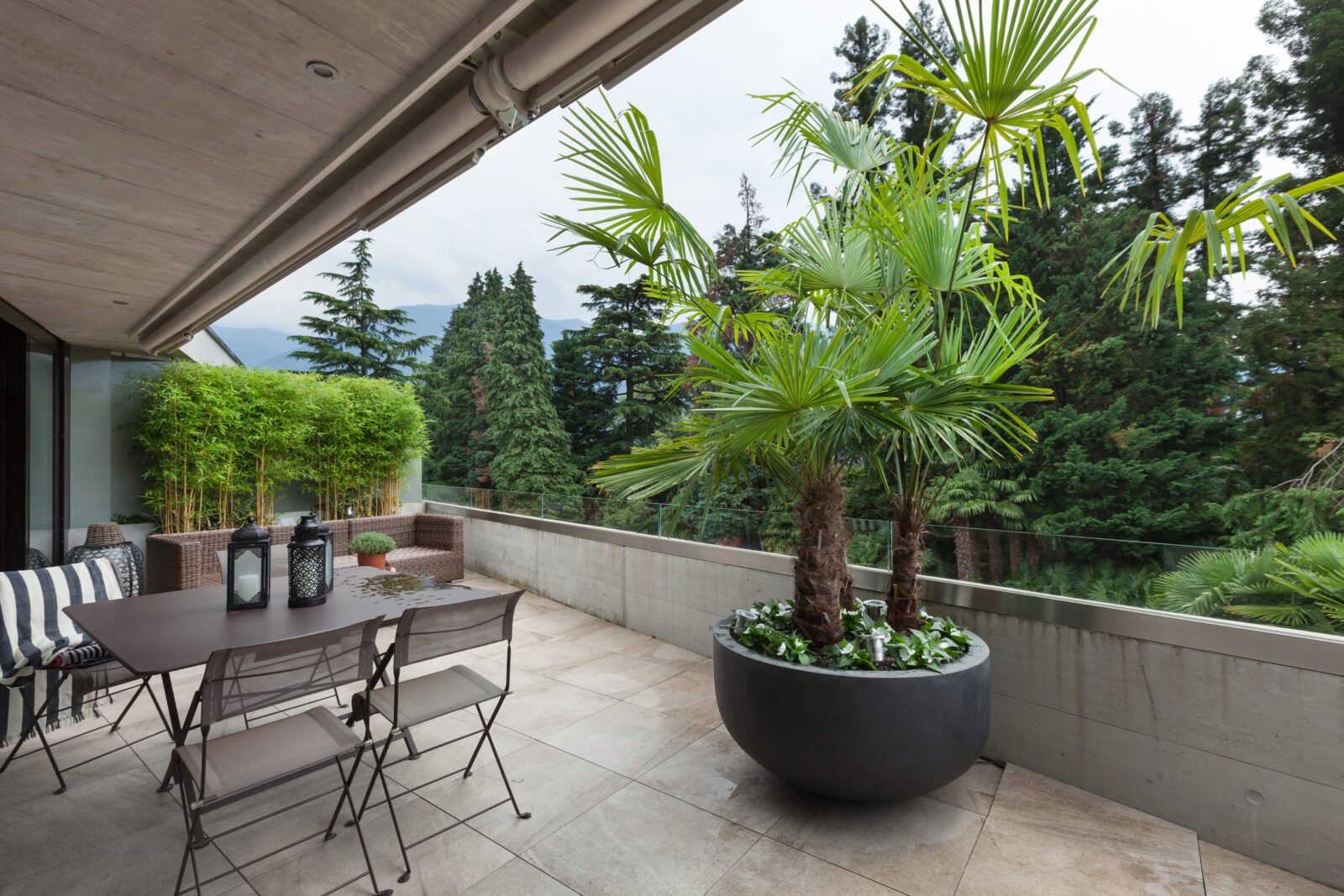 Strom na terase / Foto: Depositphotos