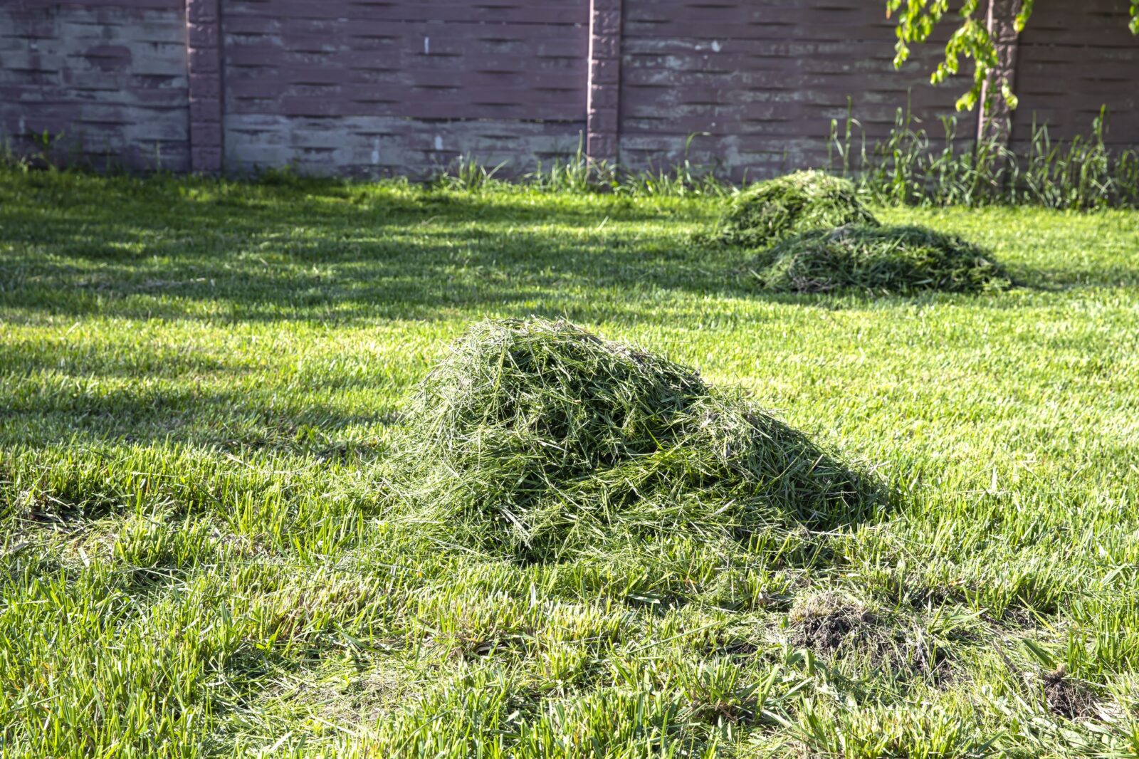 Čerstvě posekaná tráva / Foto: Depositphotos