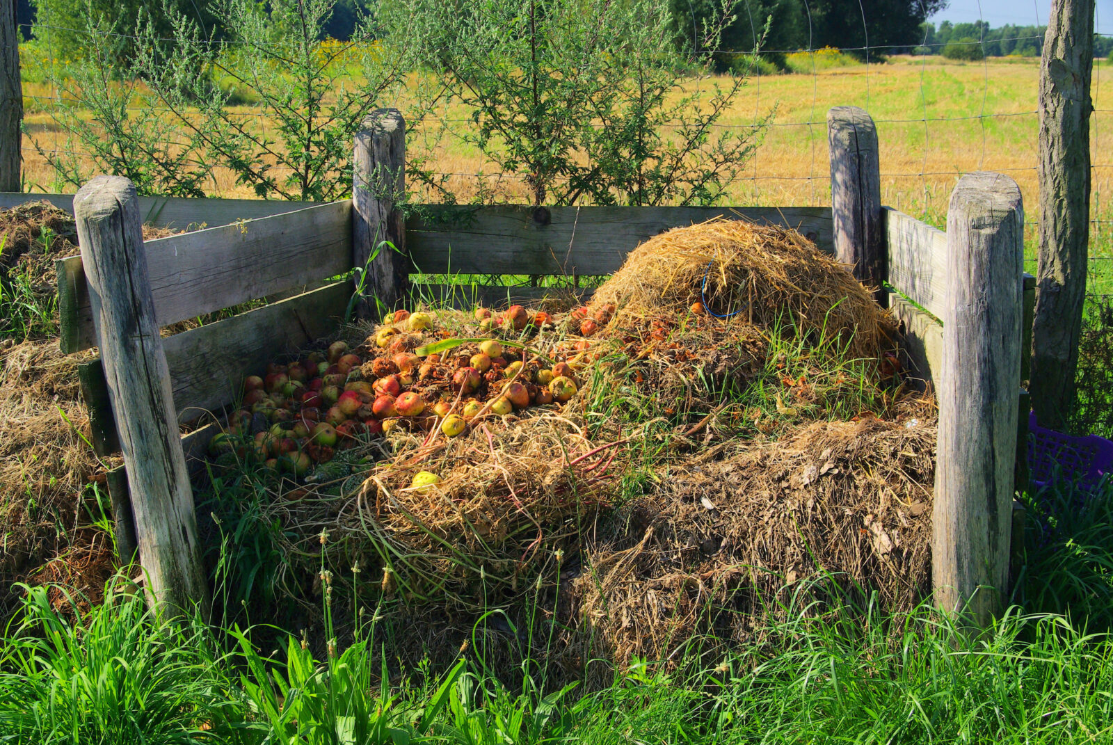 Kompostování / Foto: Depositphotos