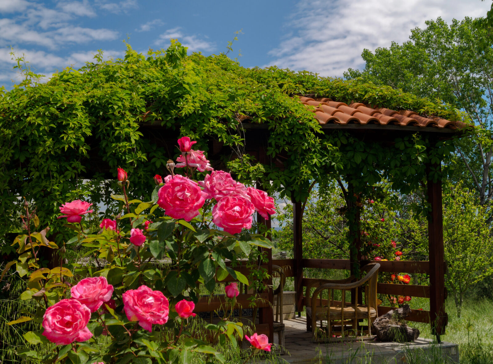 Zahradní pergola / Foto: Depositphotos