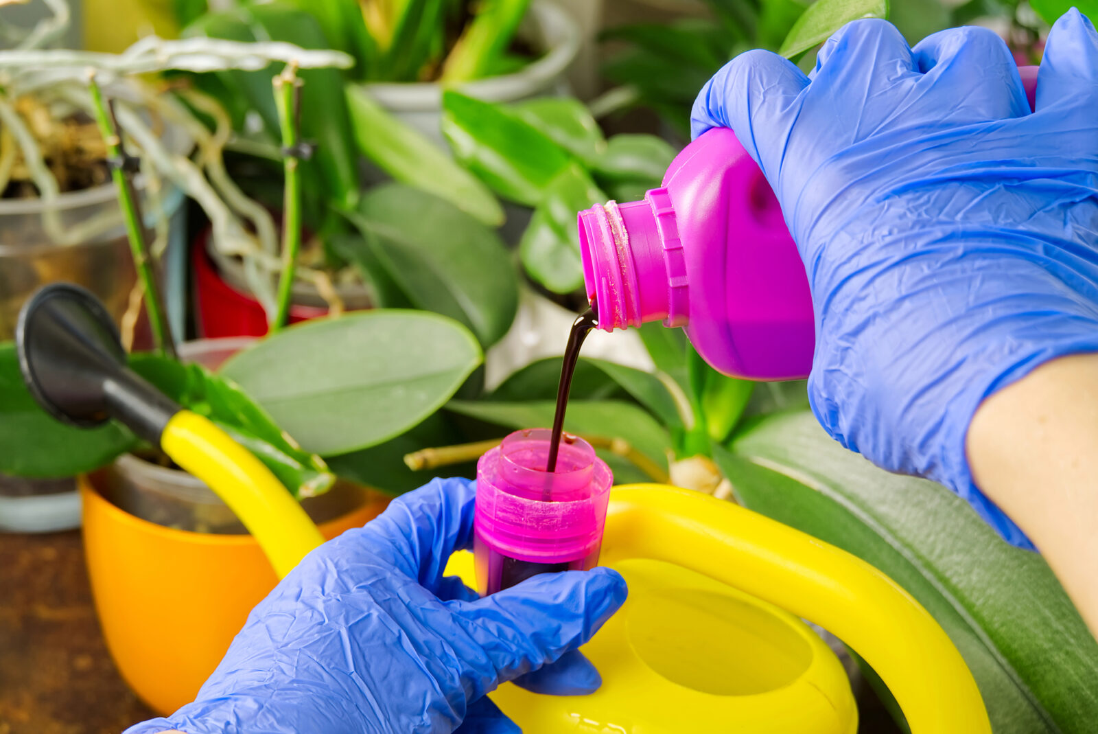 Komerční hnojivo na Orchideje / Foto: Depositphotos